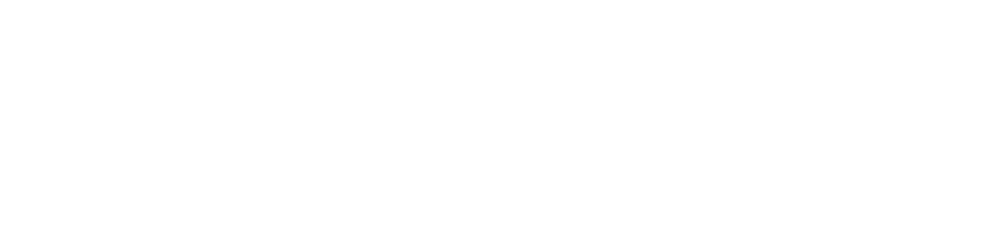Soaring Eagle Data Solutions Logo