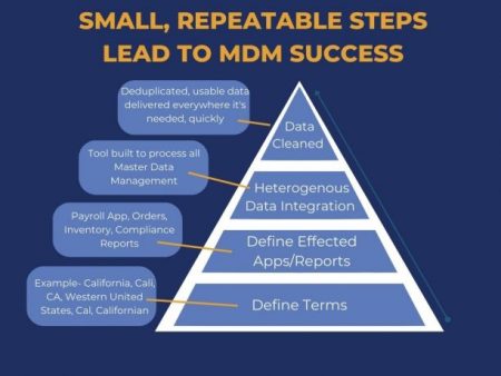 MDM Success, Master Data Management Steps to Success