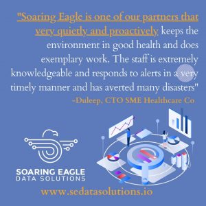 Soaring Eagle Data Solutions manages database environments quickly and proactively