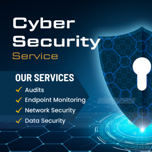 Soaring Eagle Data Solutions provides Data Security Services and Solutions