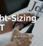 Right-Sizing in IT: The Problem with Price’s Law in Practice